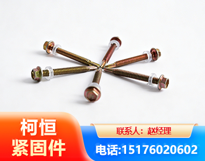 潍坊六角钻尾丝