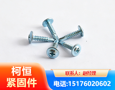 潍坊华司钻尾丝
